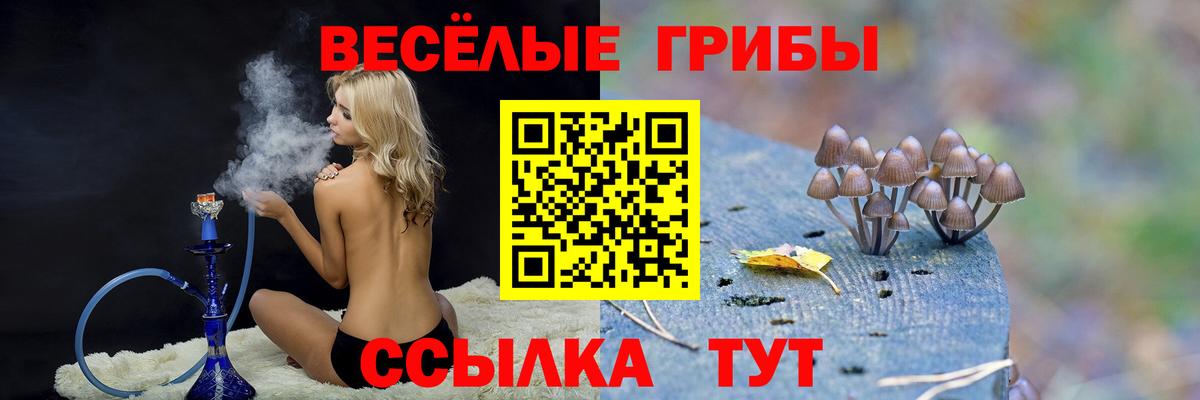 Псилоцибиновые грибы Cubensis  Вход с VPN  Ипатово  купить  цена  Галлюциногенные грибы мухоморы 